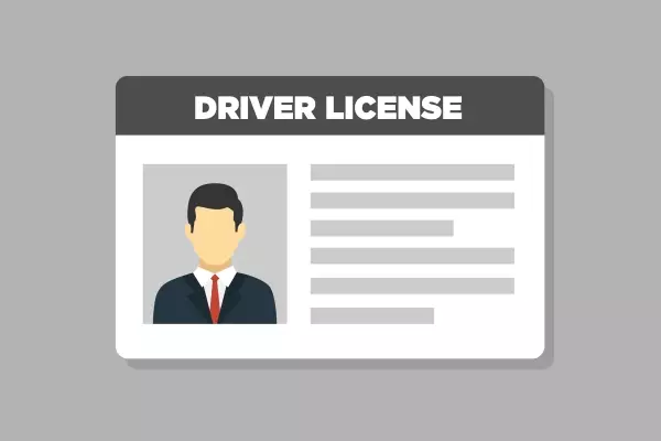 vector-drivers-license